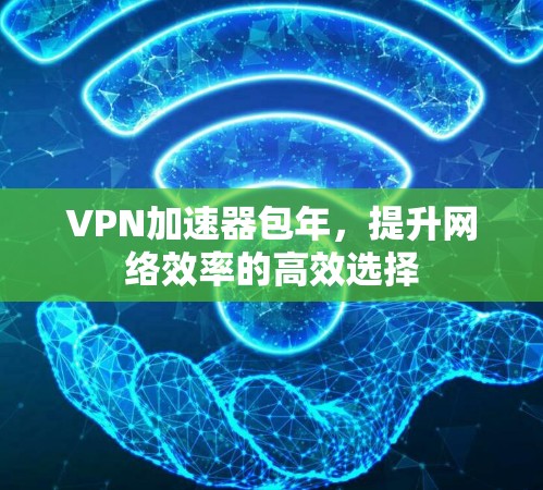 VPN加速器包年，提升网络效率的高效选择