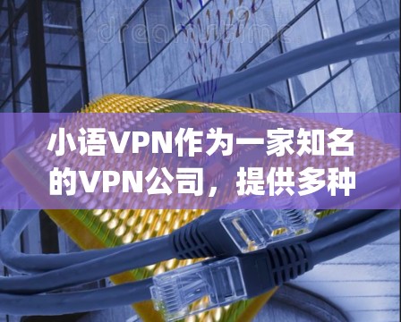 小语VPN作为一家知名的VPN公司,提供多种流量方案,包括免费、basic、pro和p2p版本。用户可以通过登录网站或应用进行账户注册,然后选择合适的流量方案进行充值