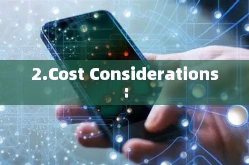 2.Cost Considerations: