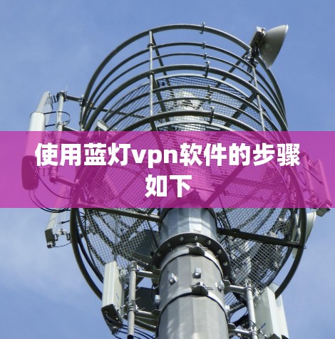 使用蓝灯vpn软件的步骤如下