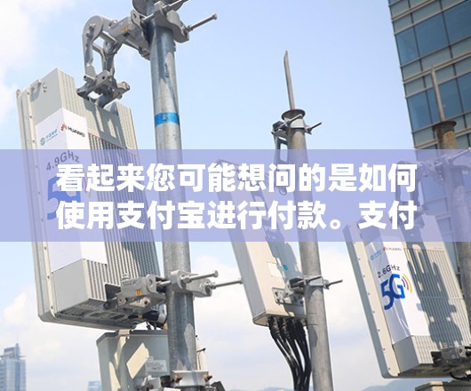 看起来您可能想问的是如何使用支付宝进行付款。支付宝是全球领先的支付工具，支持多种付款方式，包括线上支付和线下转账