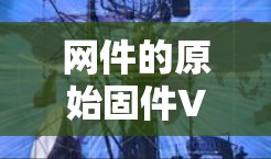 网件的原始固件VPN是一个用于监控和访问网络数据的软件工具，主要功能包括数据收集、攻击追踪以及数据加密。以下是关于这个软件的详细信息