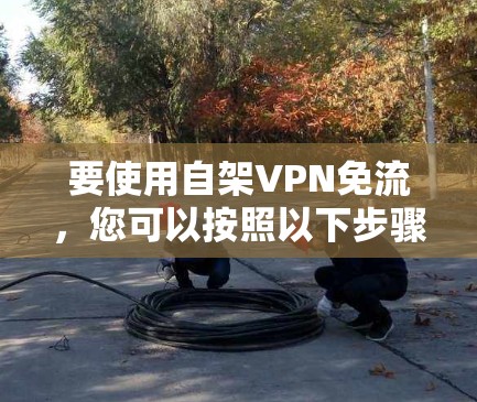 要使用自架VPN免流，您可以按照以下步骤操作