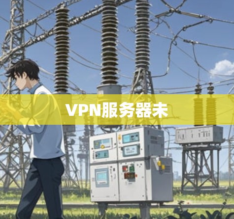 VPN服务器未