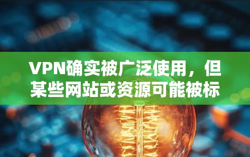VPN确实被广泛使用，但某些网站或资源可能被标记为VPN网站，或者根据不同的规则或政策被限制访问。如果你不能使用这些VPN网站，可能是因为内容不适宜，或者被标记为非法或不安全的网站