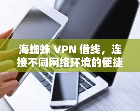 海蜘蛛 VPN 借线,连接不同网络环境的便捷工具 海蜘蛛 VPN 借线,连接不同网络环境的便捷工具