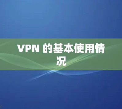 VPN 的基本使用情况