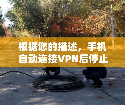 根据您的描述，手机自动连接VPN后停止解决问题的步骤如下