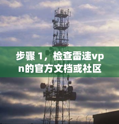 步骤 1，检查雷速vpn的官方文档或社区支持