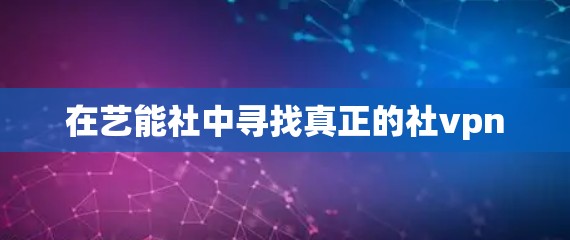 在艺能社中寻找真正的社vpn 在艺能社中寻找真正的社vpn