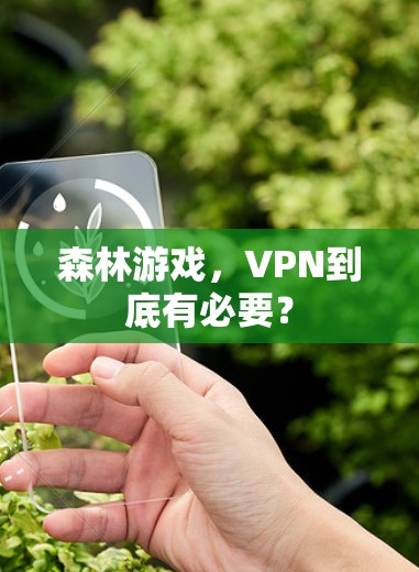 森林游戏,VPN到底有必要? 森林游戏,VPN到底有必要?