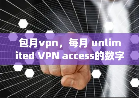 包月vpn，每月 unlimited VPN access的数字化守护