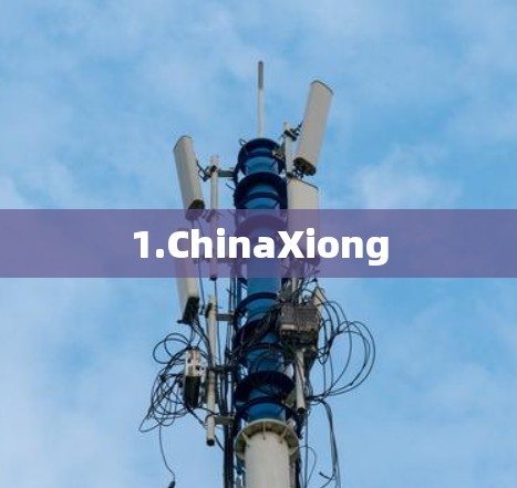 1.ChinaXiong