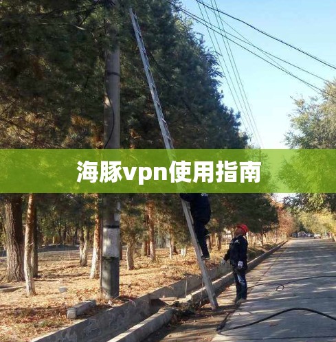 海豚vpn使用指南