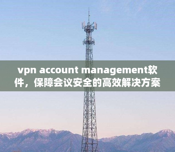 vpn account management软件,保障会议安全的高效解决方案 vpn account management软件,保障会议安全的高效解决方案
