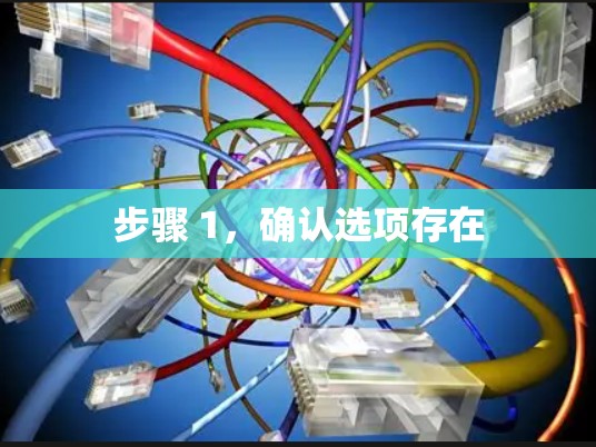 步骤 1，确认选项存在