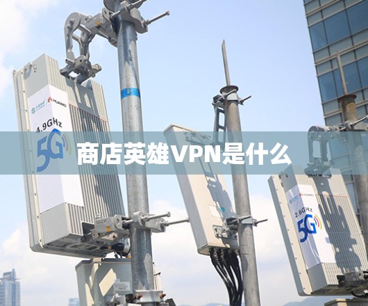 商店英雄VPN是什么 商店英雄VPN是什么
