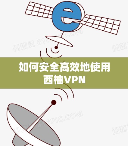 如何安全高效地使用西柚VPN 如何安全高效地使用西柚VPN
