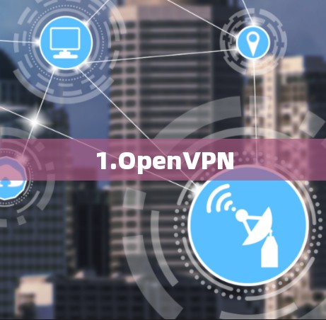 1.OpenVPN 1.OpenVPN