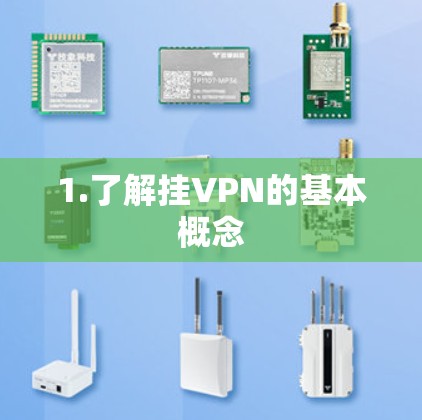 1.了解挂VPN的基本概念 1.了解挂VPN的基本概念