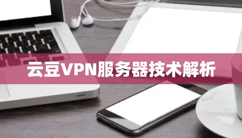 云豆VPN服务器技术解析
