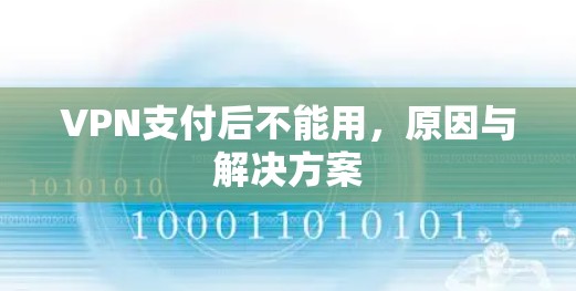 VPN支付后不能用，原因与解决方案