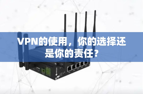 VPN的使用,你的选择还是你的责任? VPN的使用,你的选择还是你的责任?