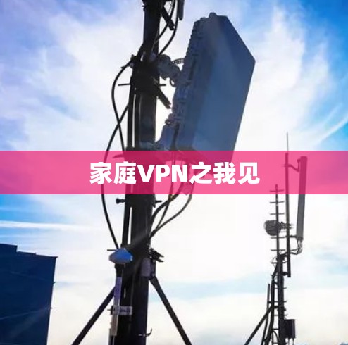 家庭VPN之我见 家庭VPN之我见