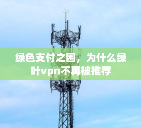 绿色支付之困，为什么绿叶vpn不再被推荐
