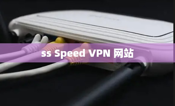 ss Speed VPN 网站 ss Speed VPN 网站
