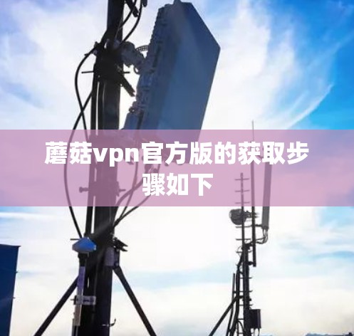 蘑菇vpn官方版的获取步骤如下