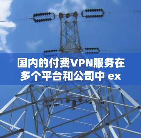 国内的付费VPN服务在多个平台和公司中 exist，以下是一些常见的国内VPN服务提供商和推荐