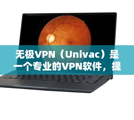 无极VPN（Univac）是一个专业的VPN软件，提供多种加密方式，支持多设备访问和国际互联网。以下是关于无极VPN的详细介绍