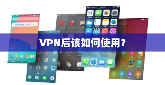 VPN后该如何使用？
