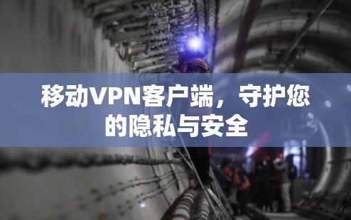 移动VPN客户端,守护您的隐私与安全 移动VPN客户端,守护您的隐私与安全