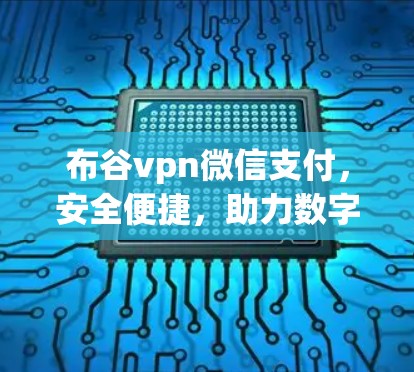 布谷vpn微信支付，安全便捷，助力数字支付新标准