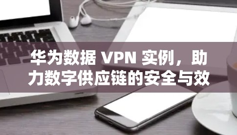 华为数据 VPN 实例，助力数字供应链的安全与效率提升