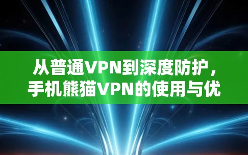从普通VPN到深度防护，手机熊猫VPN的使用与优化技巧