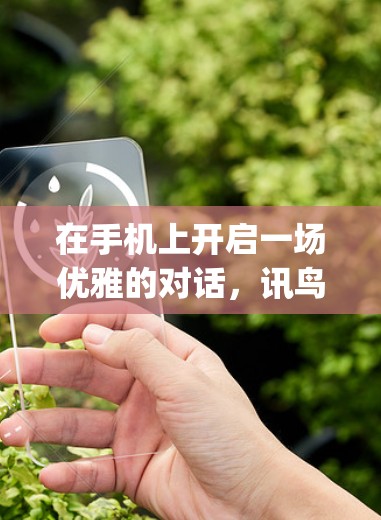 在手机上开启一场优雅的对话，讯鸟vpn的安插