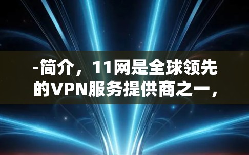 -简介，11网是全球领先的VPN服务提供商之一，提供多种语言支持，包括中文、英文、日语、法语、西班牙语、葡萄牙语等