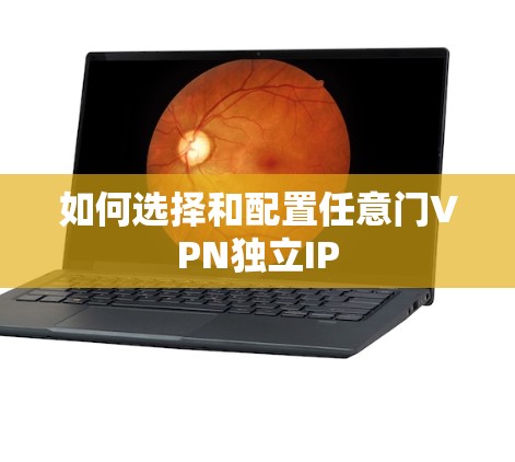 如何选择和配置任意门VPN独立IP 如何选择和配置任意门VPN独立IP