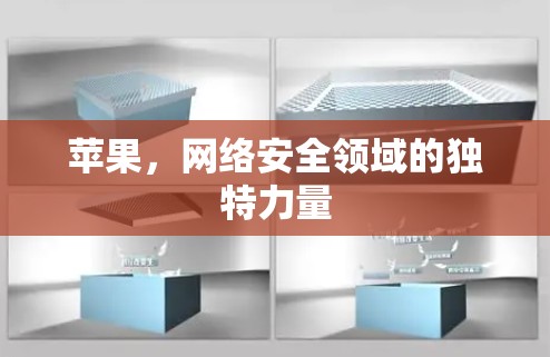 苹果，网络安全领域的独特力量