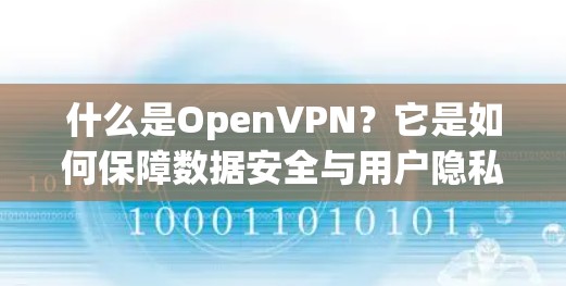 什么是OpenVPN?它是如何保障数据安全与用户隐私的关键 什么是OpenVPN?它是如何保障数据安全与用户隐私的关键