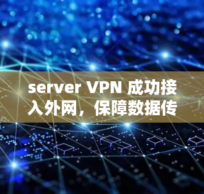 server VPN 成功接入外网，保障数据传输的安全性