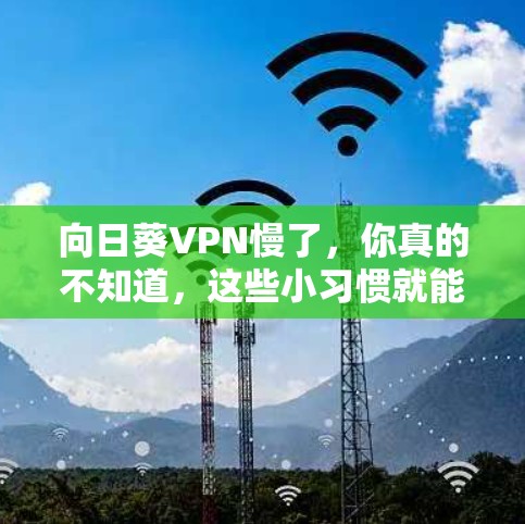 向日葵VPN慢了，你真的不知道，这些小习惯就能让它变快！