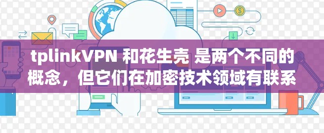 tplinkVPN 和花生壳 是两个不同的概念，但它们在加密技术领域有联系。以下是关于这两个概念的详细信息