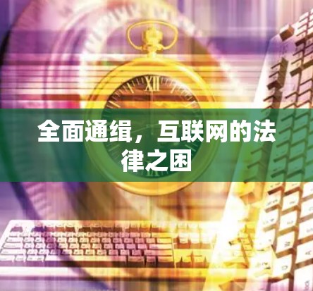 全面通缉，互联网的法律之困