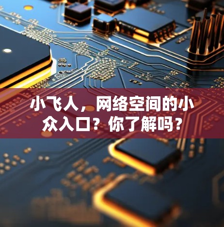 小飞人，网络空间的小众入口？你了解吗？