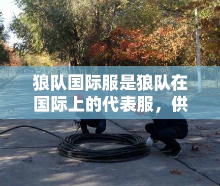狼队国际服是狼队在国际上的代表服，供全球球迷观看国际比赛的IP。由于狼队国际服的IP地址是一个比较少见的国际IP地址，因此推荐使用国际VPN服务来访问