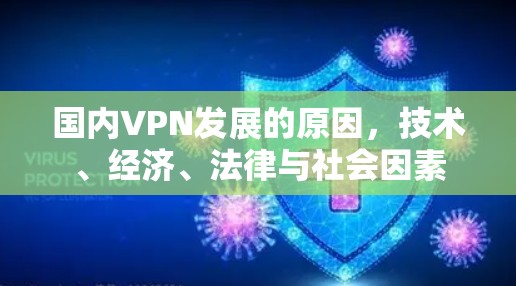 国内VPN发展的原因，技术、经济、法律与社会因素